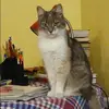 Отзыв от Оксана Черняева